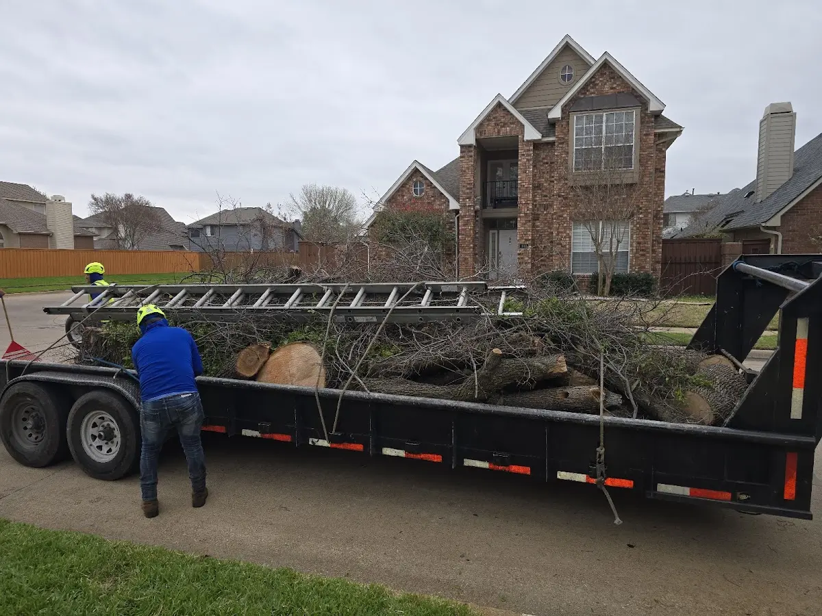 Expert Lot Clearing with proper safety equipment in Orrick